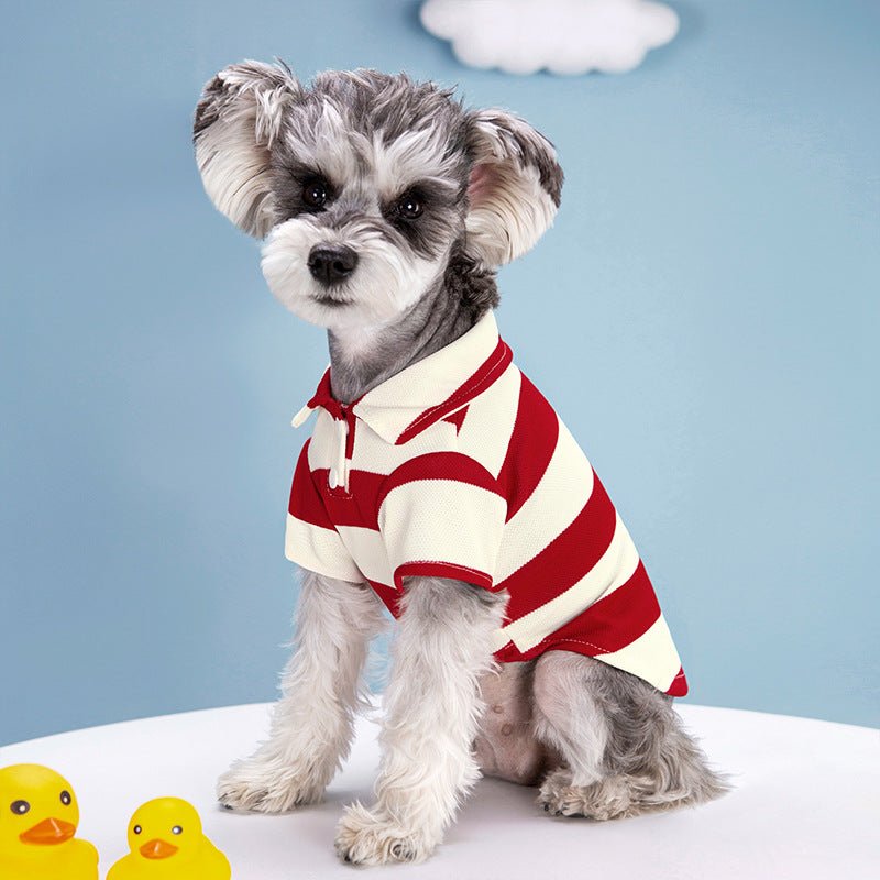 Striped Dog Polo Shirt - Infinity Dog
