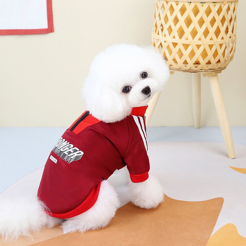 Stronger Than Ever Dog Coat - Infinity Dog