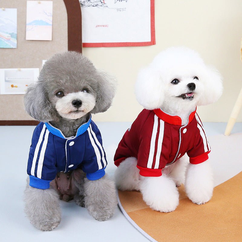 Stronger Than Ever Dog Coat - Infinity Dog