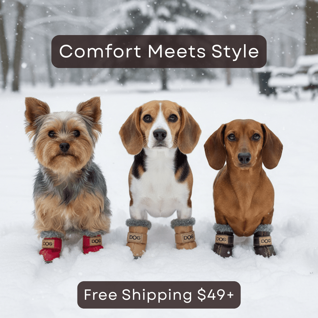 Stylish Winter Dog Boots - Infinity Dog