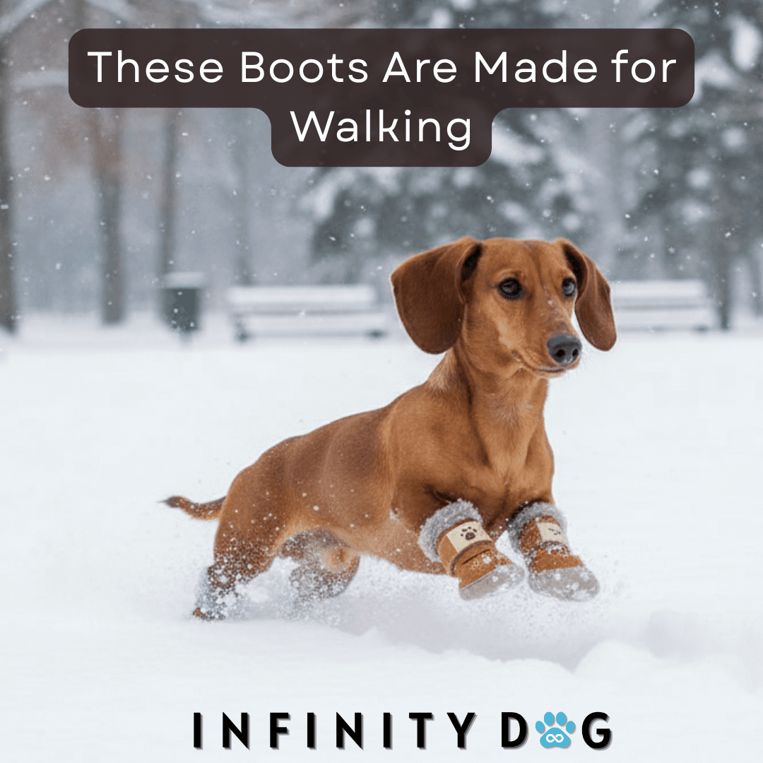 Stylish Winter Dog Boots - Infinity Dog