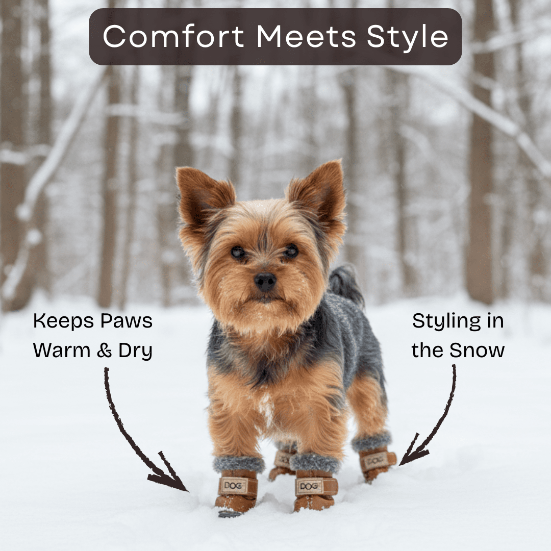 Stylish Winter Dog Boots - Infinity Dog
