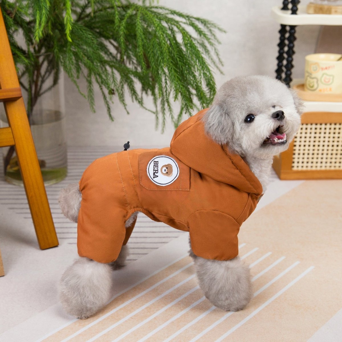 Trendy Winter Dog Coat - Infinity Dog