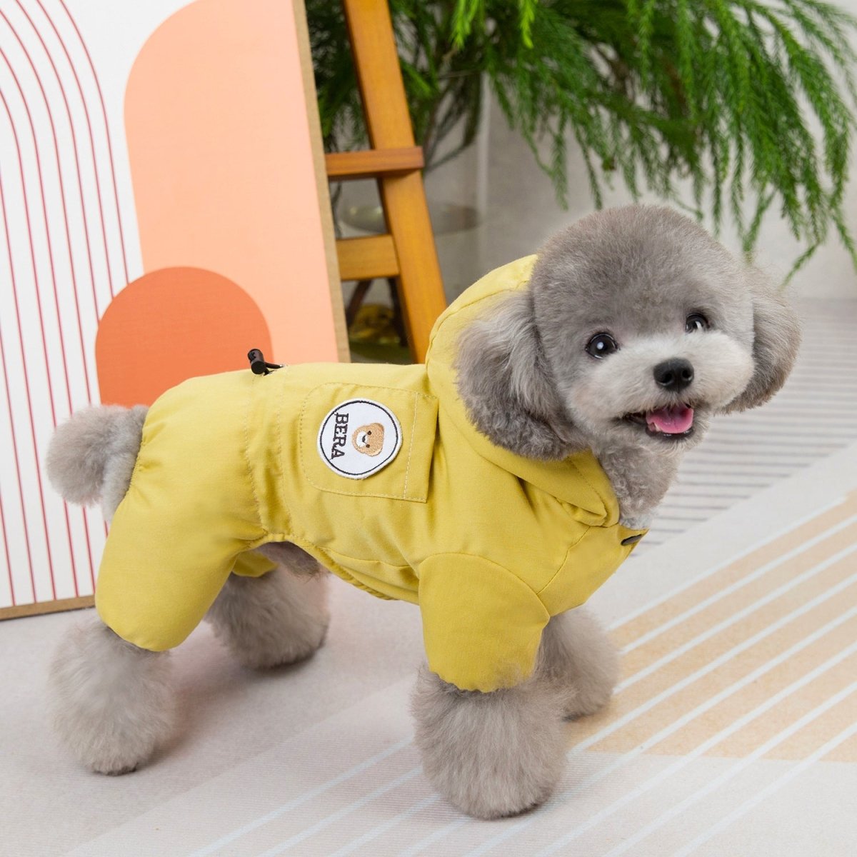 Trendy Winter Dog Coat - Infinity Dog