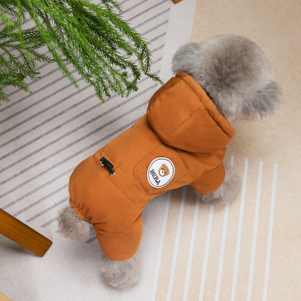 Trendy Winter Dog Coat - Infinity Dog