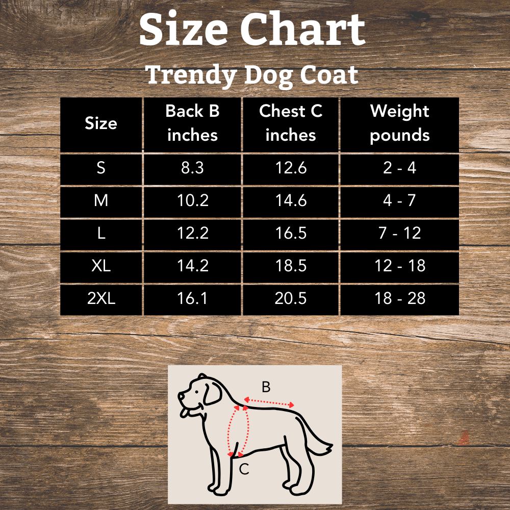 Trendy Winter Dog Coat - Infinity Dog