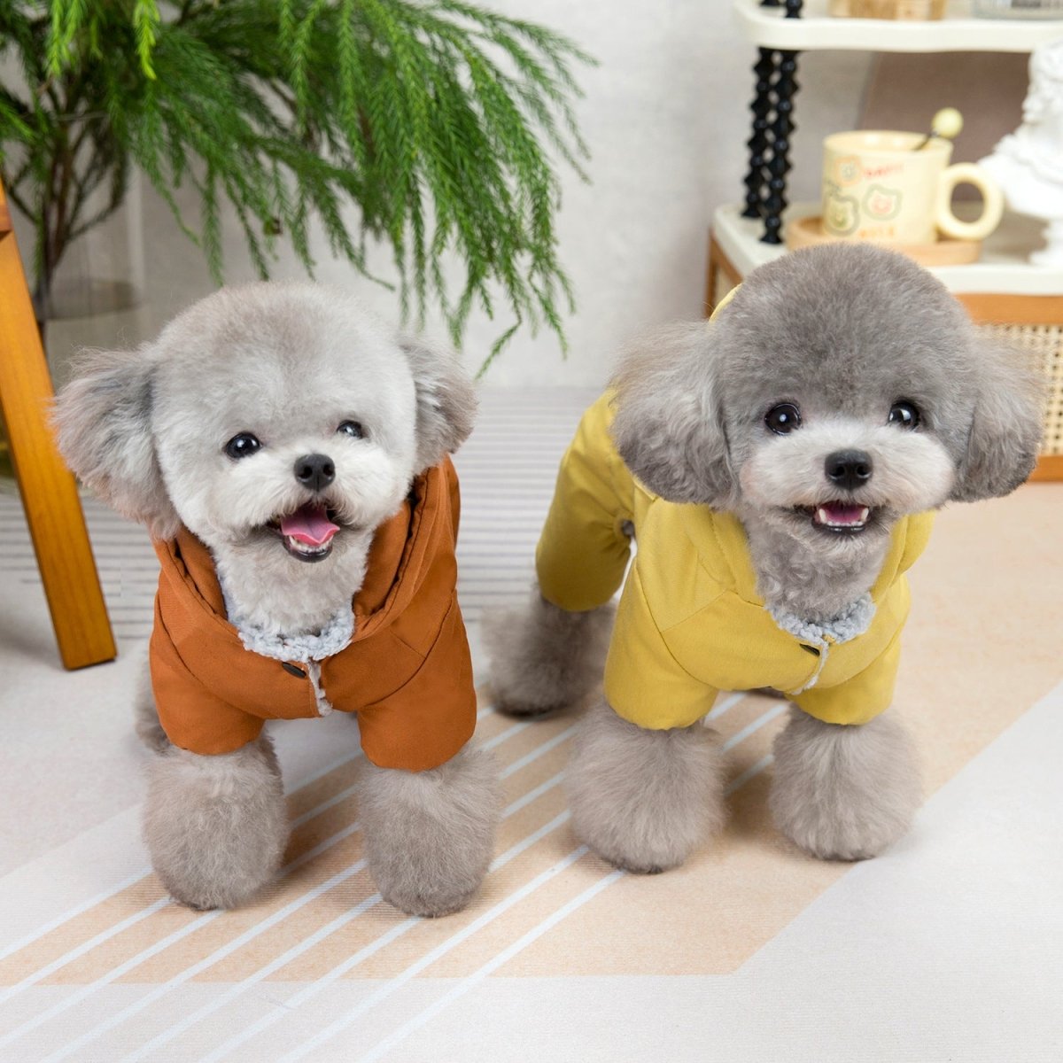 Trendy Winter Dog Coat - Infinity Dog