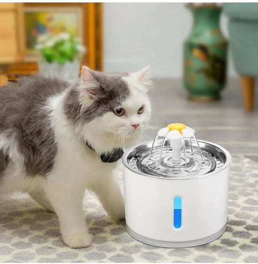 USB Powered Pet Water Fountain for Dogs and Cats - Cool Gear Pro