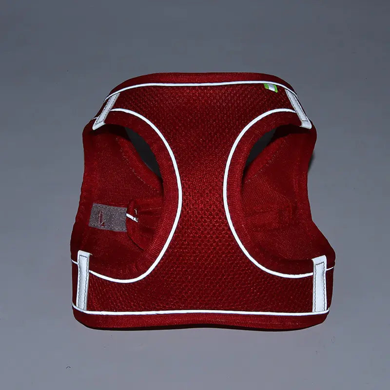 Harness Leash Set for Dogs - Cool Gear Pro