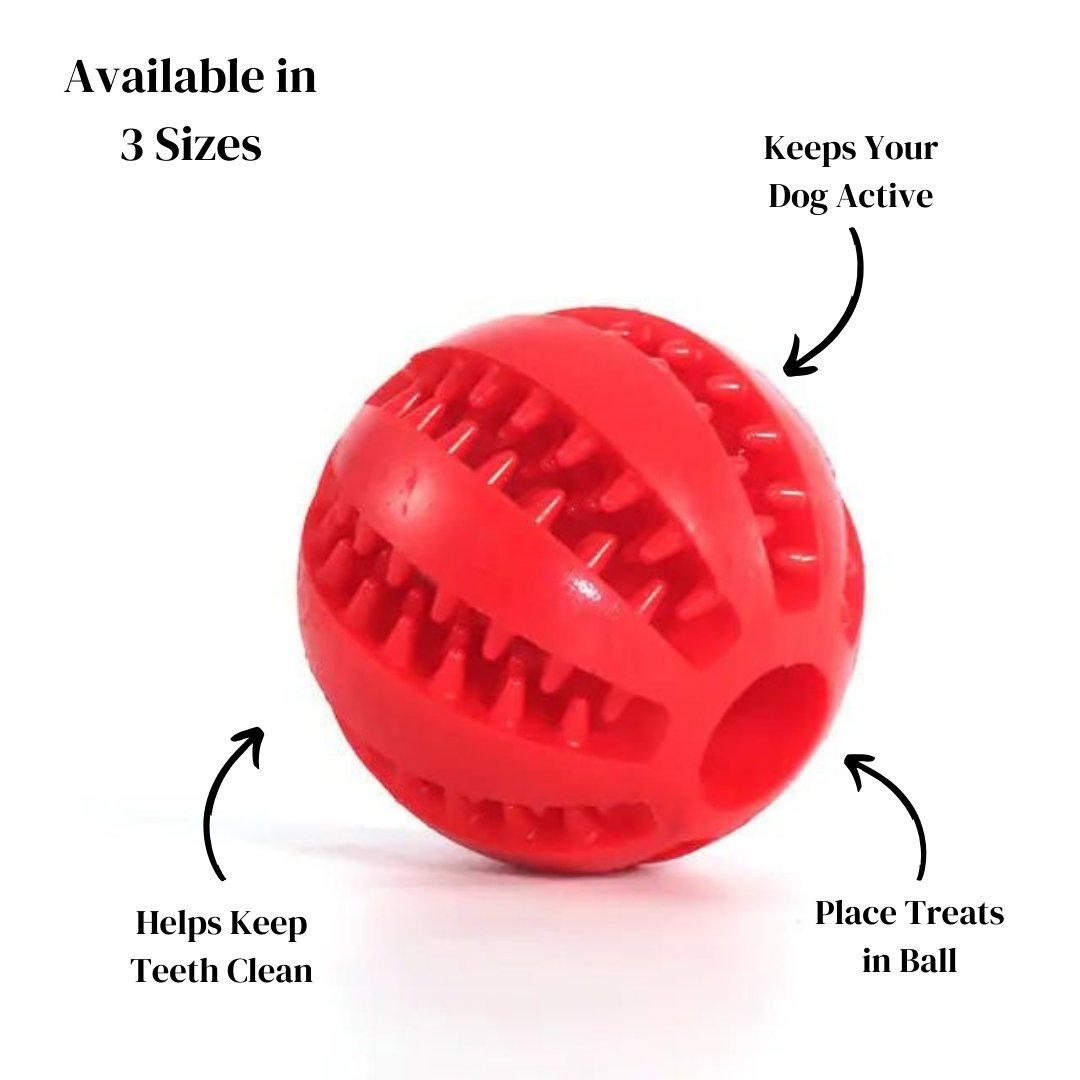 Watermelon Ball Dog Chew Toy - Cool Gear Pro
