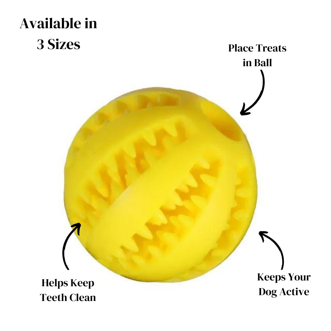 Watermelon Ball Dog Chew Toy - Cool Gear Pro