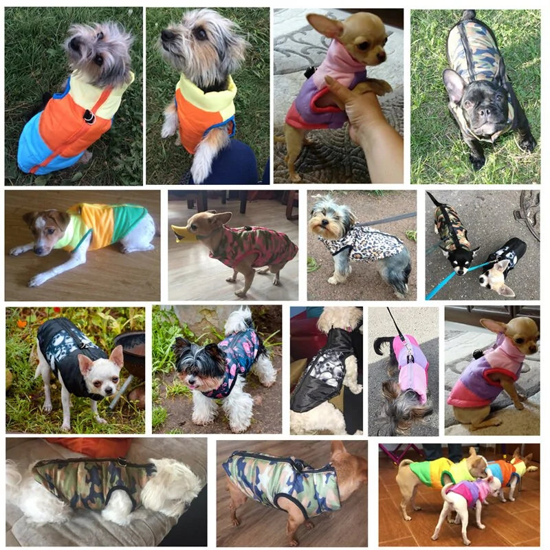 Stylish Winter Dog Jacket - Cool Gear Pro